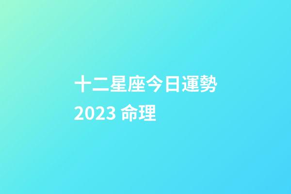 十二星座今日運勢2023 命理-第1張-星座運勢-玄機派
